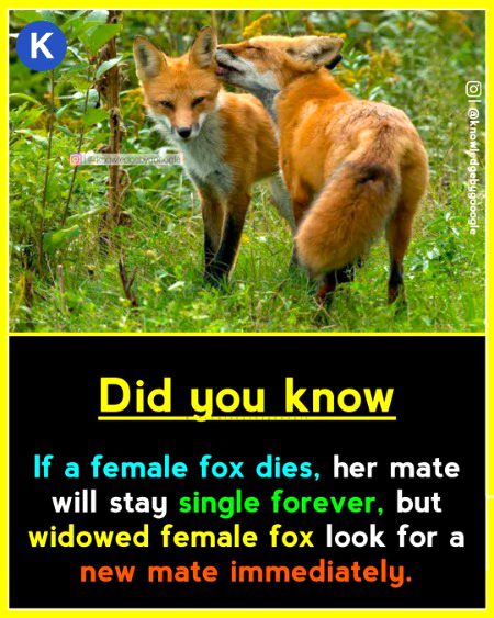 Interesting Posts image