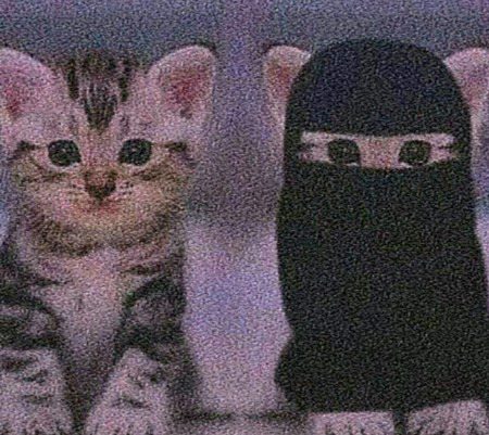 Beautiful Nature image