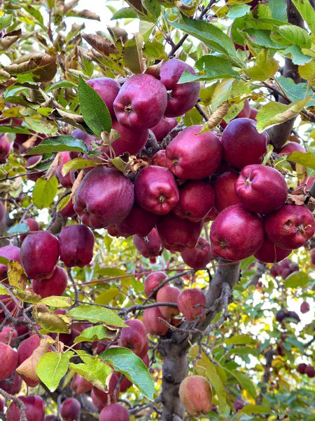 Beautiful Nature image