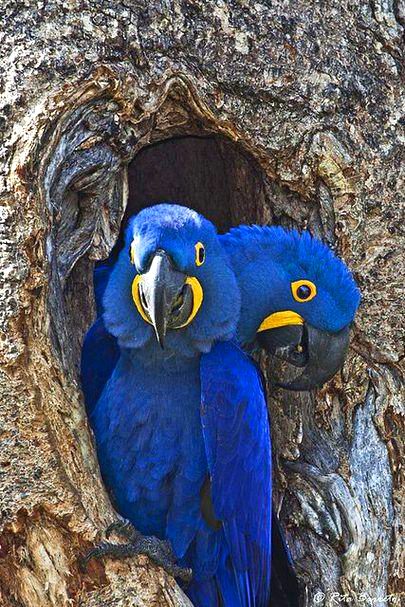 Beautiful Nature image