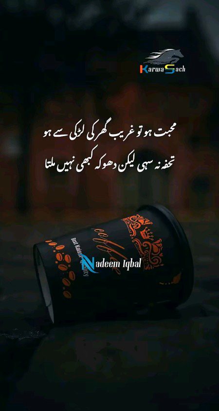 Sach main yaar 💕💕💕💔