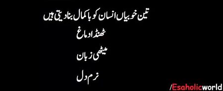 Mehar Zada