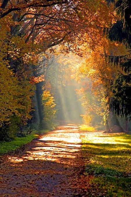 Beautiful Nature image