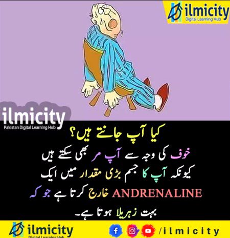 Interesting Posts image