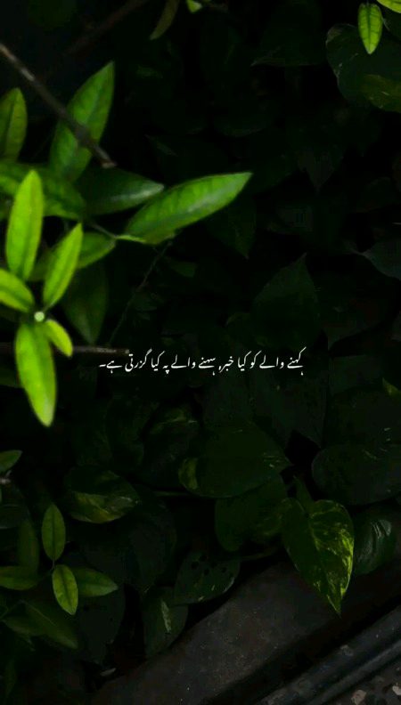 Sad Poetry image
