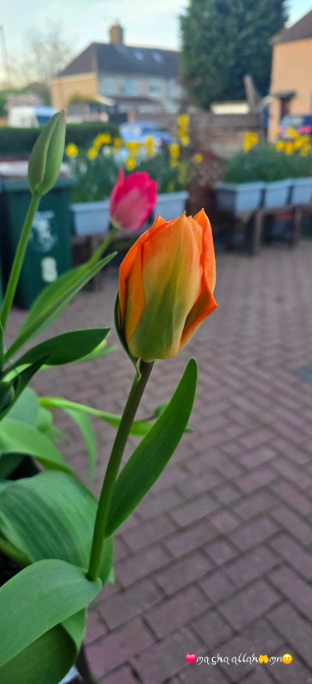 Beautiful Nature image