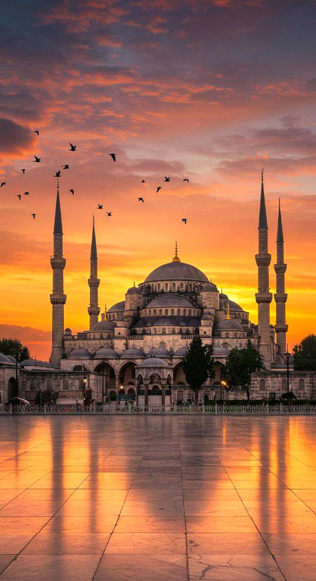 Beautiful Structures image
