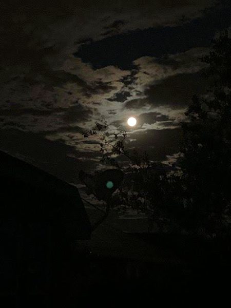 Beautiful Nature image