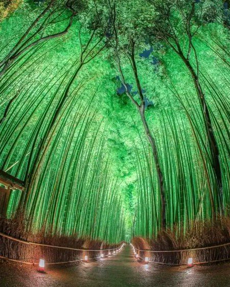 Beautiful Nature image