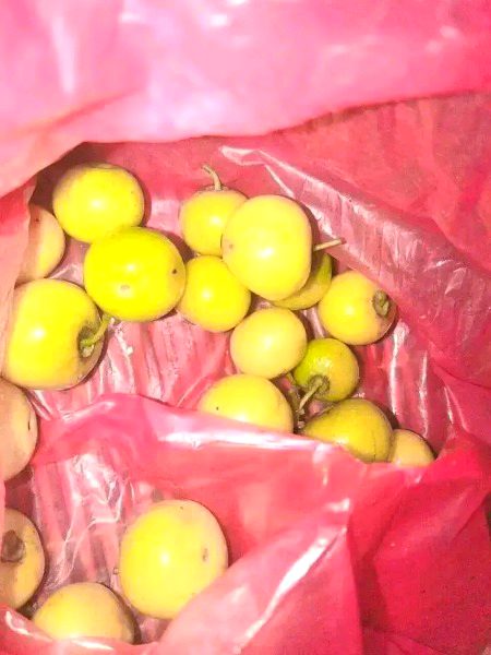 Beautiful Nature image