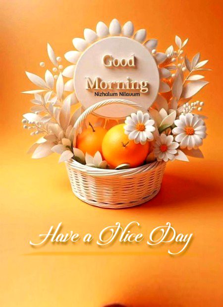 Have a nice day