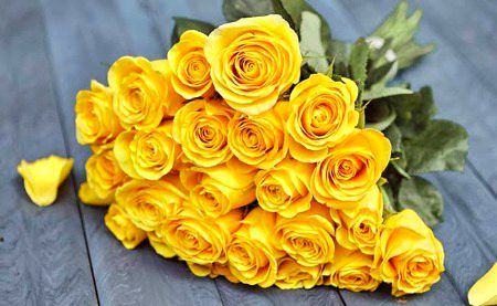 Beautiful Nature image