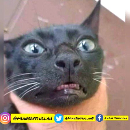 جب مہمان کا بچہ شرارتیں کرنے کے بعد اکیلے میں مل جائے