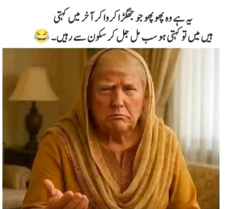 Memes & Satire image