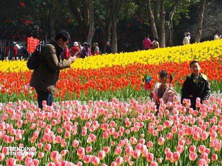 Beautiful Nature image