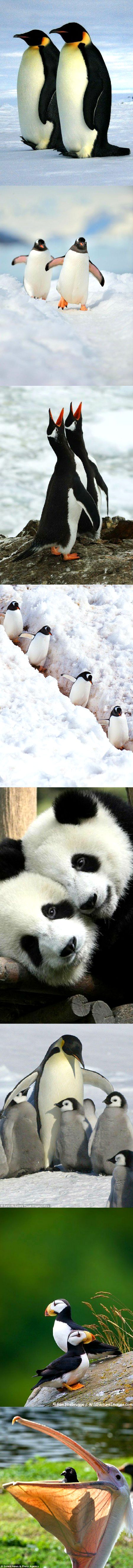 Beautiful Nature image