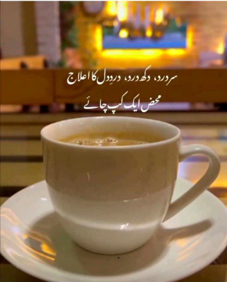 *💔زندگی سے تھوڑی وفا کیجیئے...*
*😔جو نہیں ملتا اُسے دفع کیجیئے 🥀*
*🌸ہر کوئی نہیں ہوتا آپ کے قابل...*  
*☕اکیلے بیٹھ کر چائے کا مزہ لیجئیے 🥰*