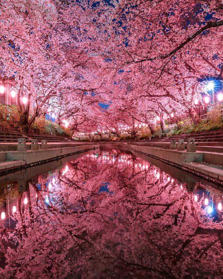 Beautiful Nature image