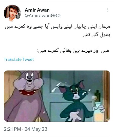 Memes & Satire image