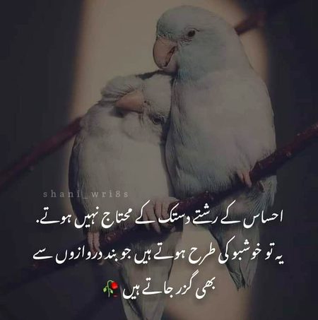 Hmm right💕💕
