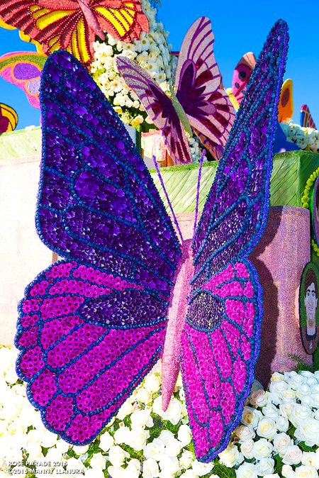 Rose parade at Disney land😍