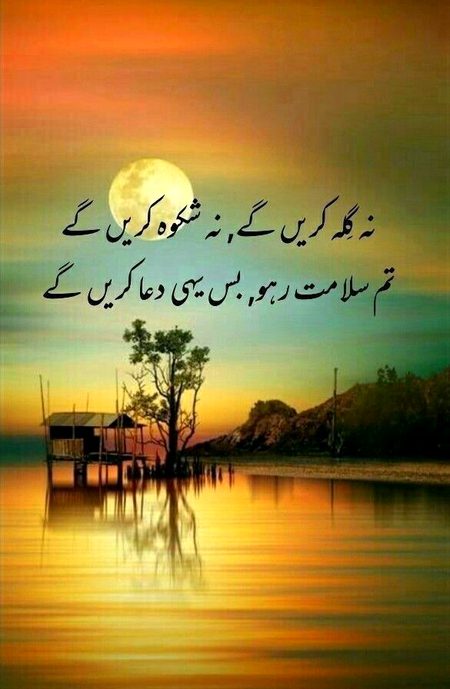 🌹 merijan-16 🌹