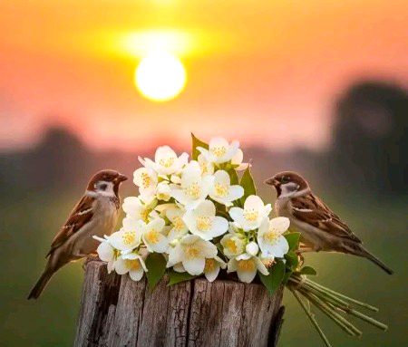 جن پتھروں سے ہم دوسروں کو بچائیں، وہ ہمیں ہی آ لگیں تو دکھ ہوتا ہے🩶