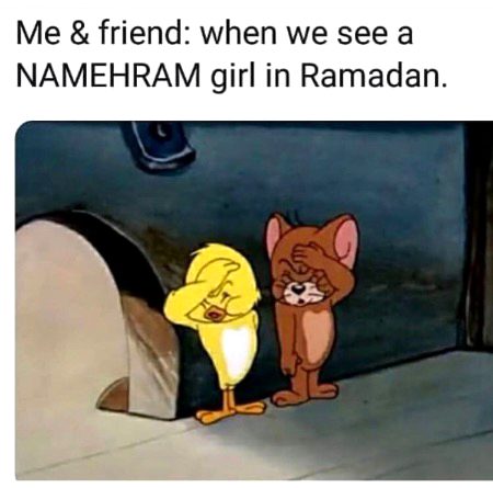 Memes & Satire image