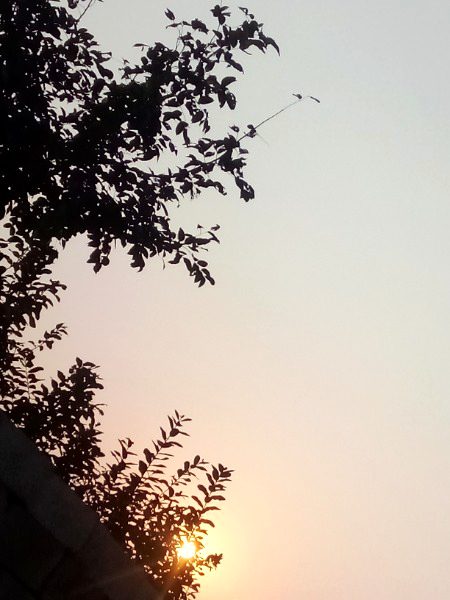 Beautiful Nature image