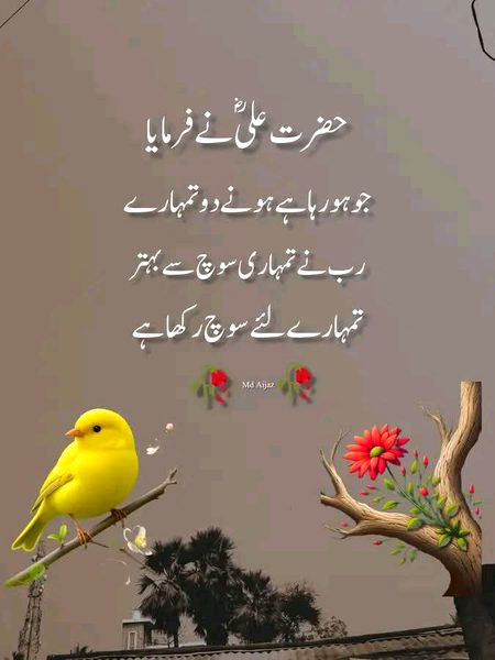 Motivational Quotes image