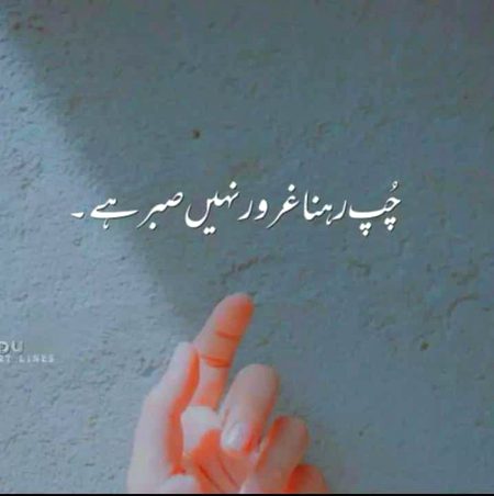 Attitude Quotes image