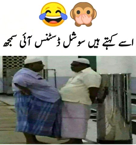 Memes & Satire image