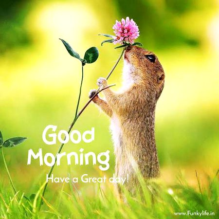 Beautiful Nature image