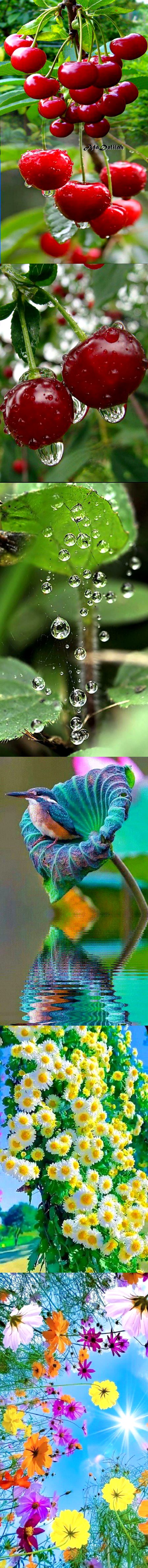 Beautiful Nature image