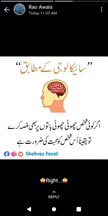 Muhabbat ki zroort💫💫💫