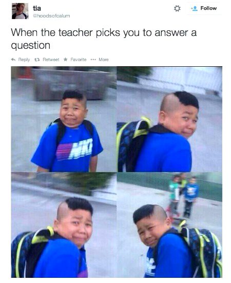 Memes & Satire image