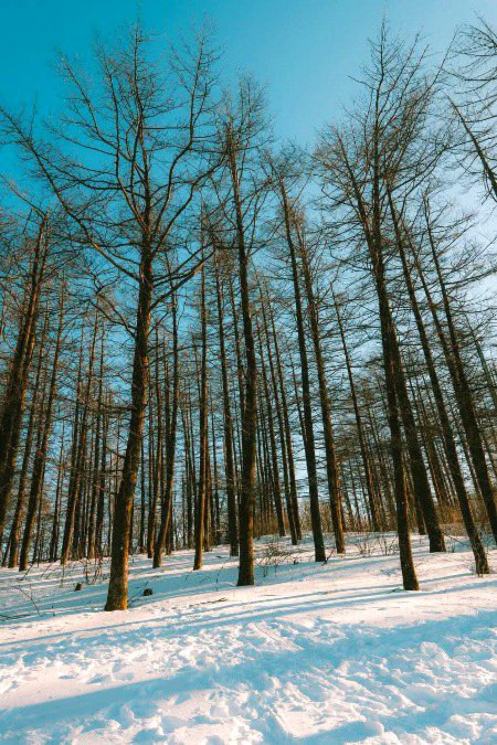 Beautiful Nature image