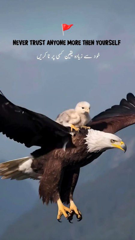 Motivational Quotes image