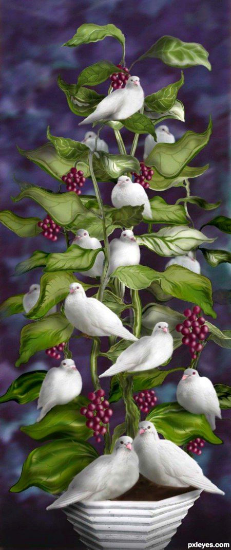 Digital Art image