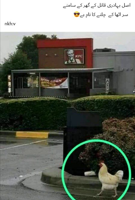 Ahaaa bahadri tu deky