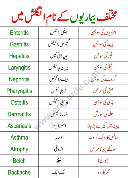 Tips for Students image
