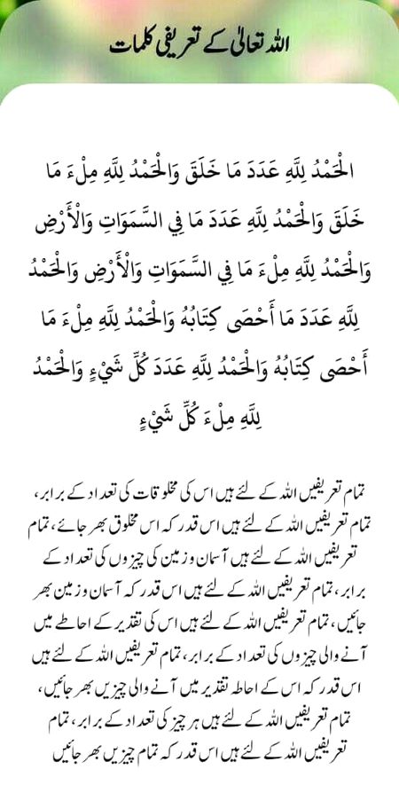 .q4 everyone