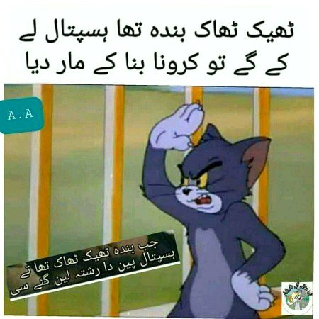 Memes & Satire image