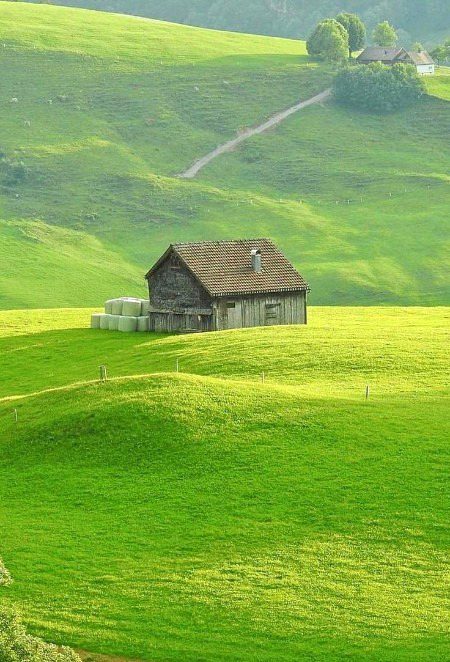 Beautiful Nature image