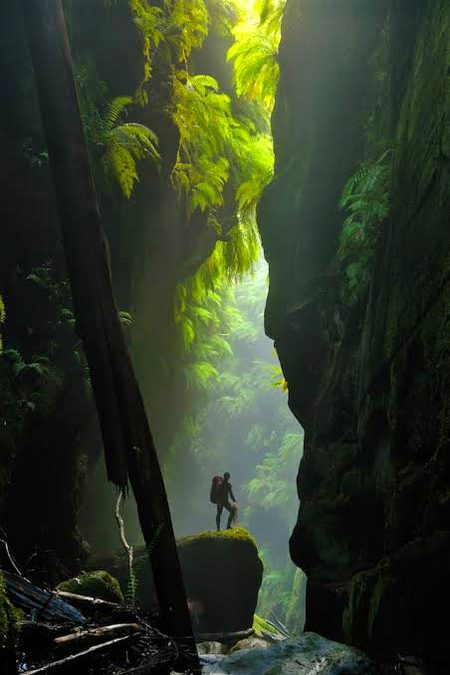 Beautiful Nature image