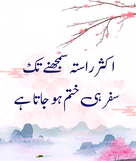 No Caption 🌺🌺