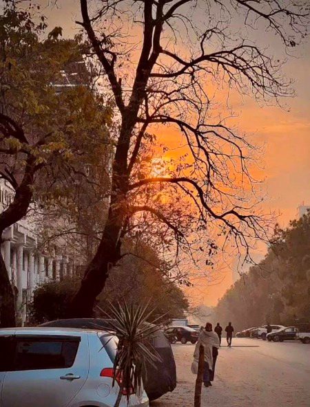 Beautiful Nature image