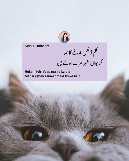 Sad Poetry image