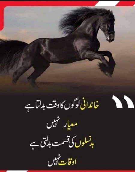,Allah hafiz subha milte hn