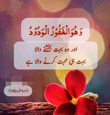 Islamic Quotes image